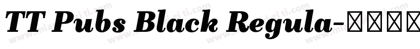 TT Pubs Black Regula字体转换